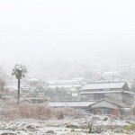 吹雪の日にあえて小豆島の石の産地、北の地へ行ってみる